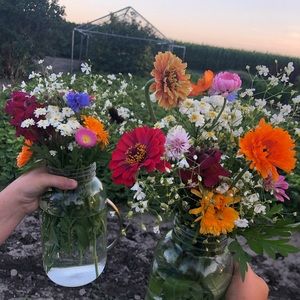 Meet your Posher, Leah